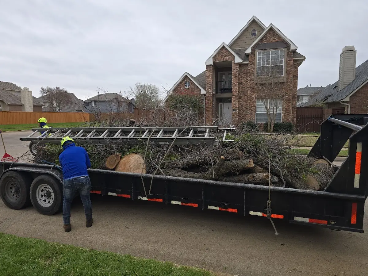 Expert Tree Pest Control with proper safety equipment in White Oak